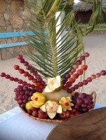 /album/fotogaleria-inicio/decoracion-de-uvas-jpg/